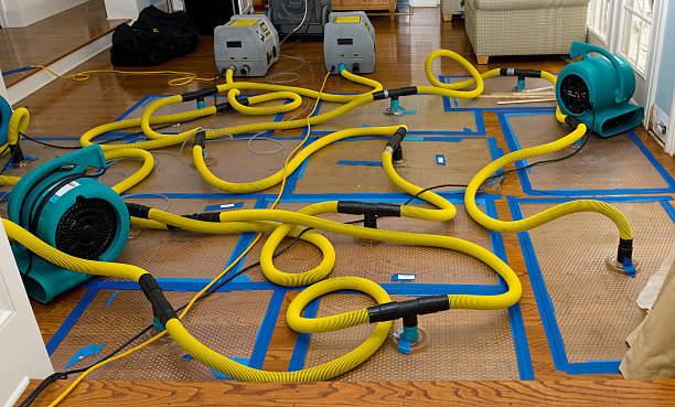Professional Crawl Space Water Removal technician working in Marathon, WI